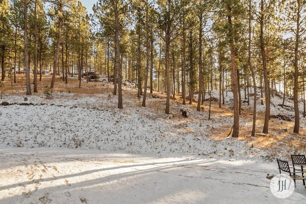 Elk Ridge Fire Place Custer Dış mekan fotoğraf